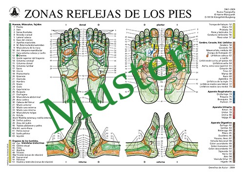 Zonas reflejas de los pies (Castellano)
